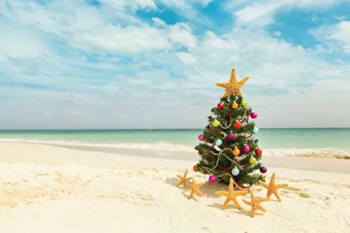 Christmas Tree Beach