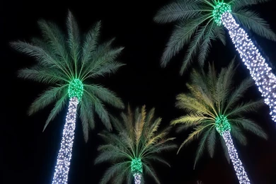 Merry Christmas Wallpapers (⊙.⊙(◉̃_᷅◉)⊙.⊙) For Whatsapp ...