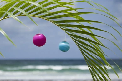 Beach Christmas Tree Wallpapers Free Desktop