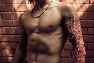 Stevefox   DeviantArt