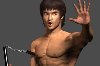 Bruce Lee Wallpapers   Wallpapers Zone