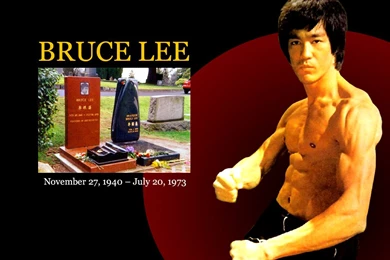 All Wallpapers: Bruce Lee Hd Wallpapers