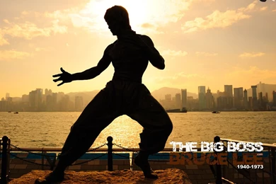 Bruce Lee Wallpapers, Pictures, Photos, Screensavers