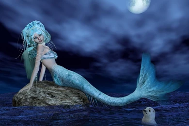 High Quality Wallpapers Free Download 23616 HD Wallpapers