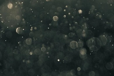 Download Iphone 5 Retina Display Hd Wallpapers Iphone Wallpapers 5 ...