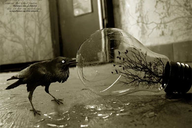 Digital Art Dark Wallpapers 12