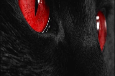 Black And White Om Iphone 5s High Resolution Wallpapers