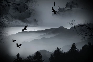 Dark Crows Over The Forrest Wallpapers From Dark Wallpapers   Would ...