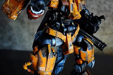 Pinoy Gundam Summer Yarian Challenge: MG Buck Zaku Ver.Y. Modeled ...