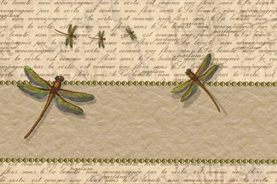 Dragonfly Wallpapers Collection (45+)