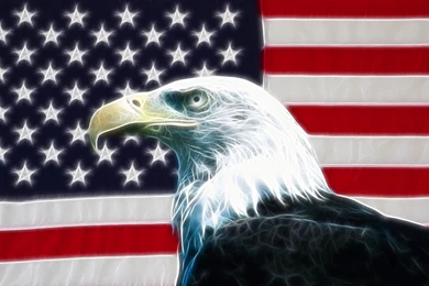 Wallpaper: American History X Wallpapers Hd