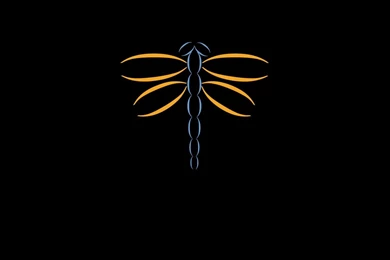 Dragonfly Backgrounds   Wallpapers Cave