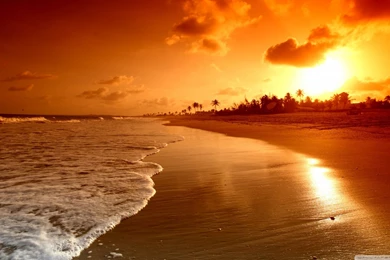 Awesome Caribbean Wallpapers