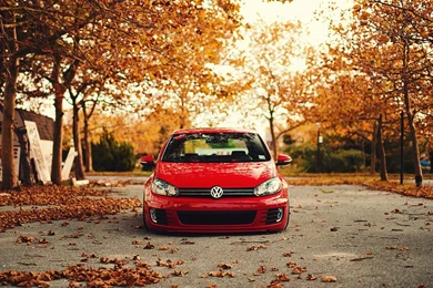 Nature, Trees, Cars, Leaves, Volkswagen Golf, Volkswagen Golf R ...