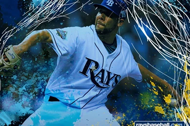 Wallpapers Prices 2015   Grasscloth Wallpapers