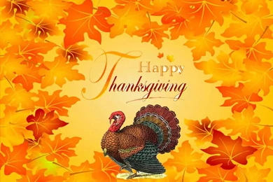 Pics, Facts, Funny Stuff About Animals & Nature Happy Thanksgiving ...