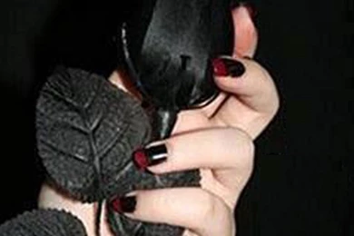 4999) Black Rose Wallpapers Design   WalOps.com