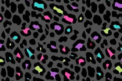 Animal Print❤   On Pinterest