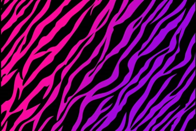 Colorful Leopard Print Wallpapers Hd Colorful Leopard Print Wallpapers Hd