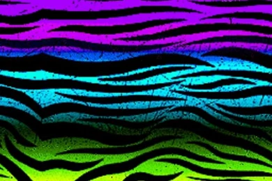 Neon Animal Print Wallpapers