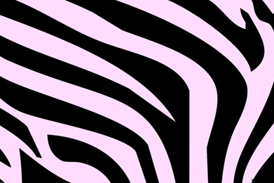 Colorful Leopard Print Backgrounds Wallpapers