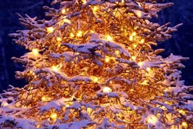 Christmas Wallpapers For iPhone