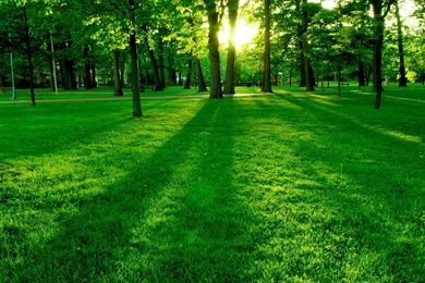 Widescreen hd desktop.jpeg