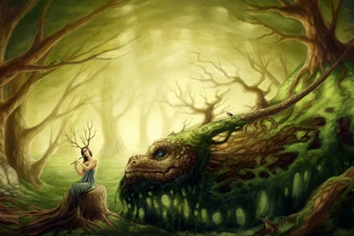 2560x1440 Dragon, Forest, Forest, Girl, Druid Wallpapers And ...