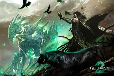 Druid Wild Shape Animals