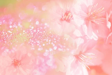 Pink Flower Wallpaper Backgrounds   Wallpapers Cave