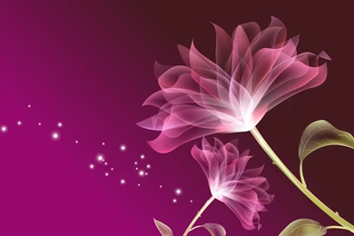 15+ Pink Floral Wallpapers
