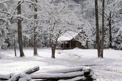 Norway Winter Cabin   Wallpaper.