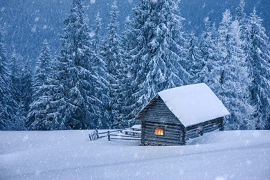 Nature Hut Forest Snow Winter Trees Cabin Wallpapers