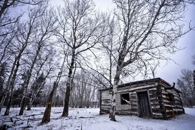 Landscapes   Page 51