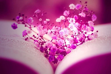 Love Wallpapers For Facebook – Wallpapers