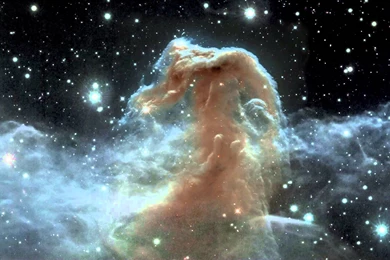 Hubble Horsehead Nebula 1080P (page 5)   Pics About Space