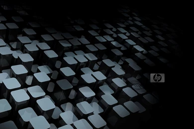 Wallpapers Black Nature Hp Hd 1280x800