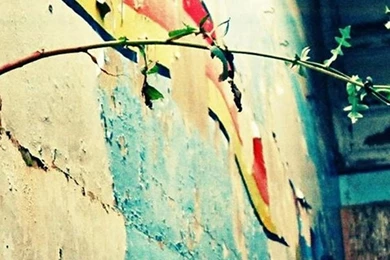 Graffiti iPhone 5s Wallpapers