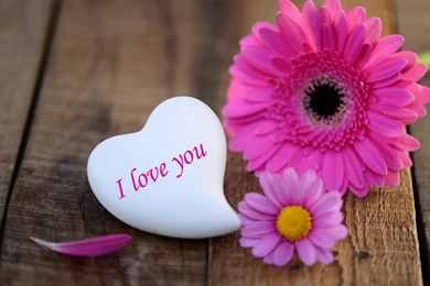 2560x1600px 1533.97 KB I Love You Wallpapers
