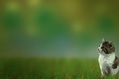 Desktop Cute Backgrounds For Desktop For Girls Desktop Backgrounds ...