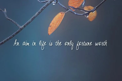 Life Philosophy, Life Changing Quotes Wallpapers   An Aim In Life ...