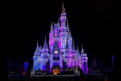 Disneyland Vacations : Disneyland Fantasy Christmas Holidays ...