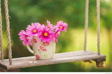 Spring Flowers HD Images Wallpapers 7545   HD Wallpapers Site