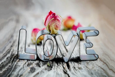 Love_hd_wallpaper_valentines_day 1280x1280.jpg