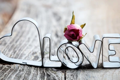 Cute Love Wallpapers HD