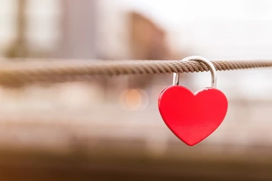 Red Love Wallpapers Free Download