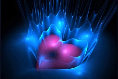 Wallpapers Mobile Love