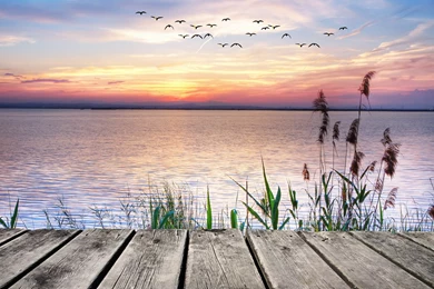 Lake View From Wooden Bridge Wallpapers