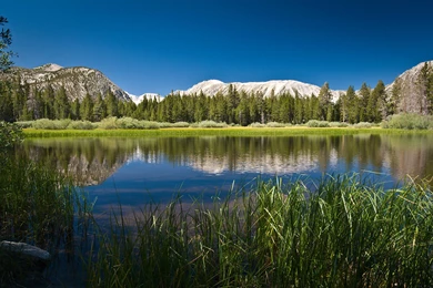 Amore Intima Blue Wallpapers