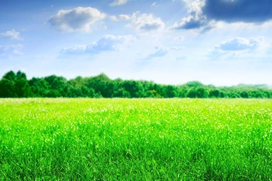 Samsung Galaxy Tab 10 Tablet Wallpapers And Backgrounds